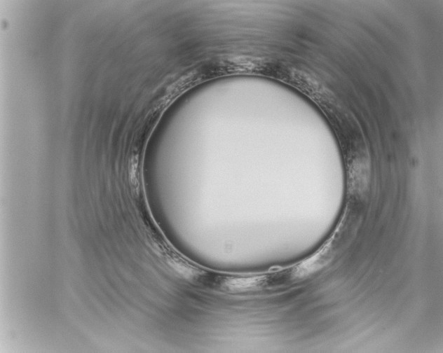 X0000059850178200511111820