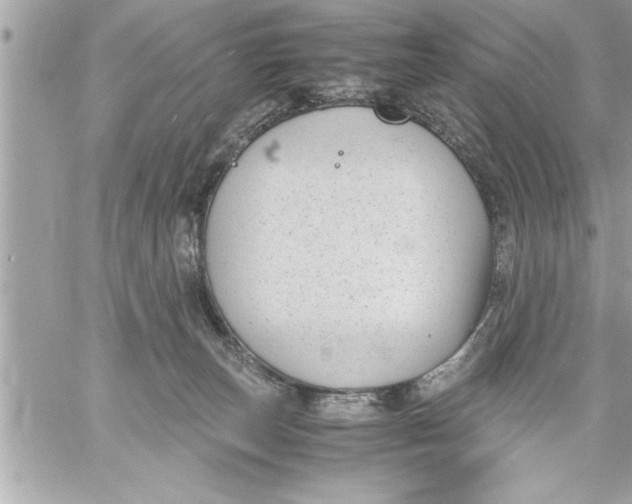 X0000059850179200511111820