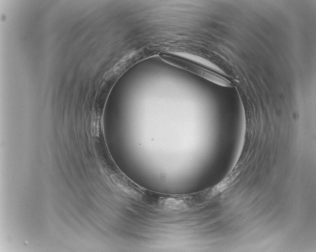 X0000059850180200511111820