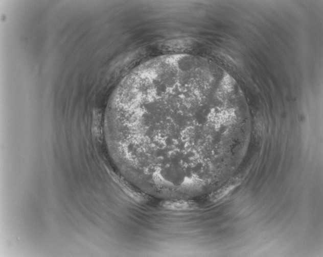 X0000059850181200511111820