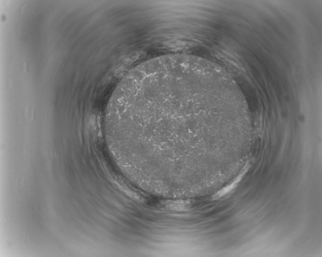 X0000059850182200511111820