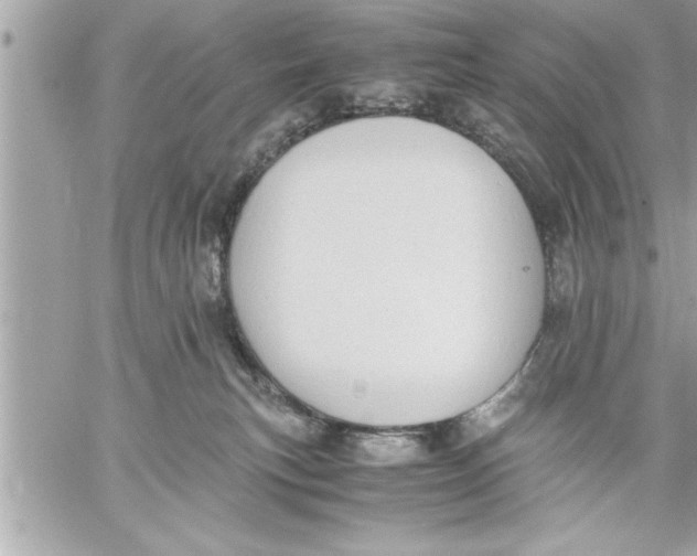 X0000059850183200511111821