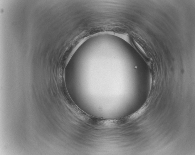 X0000059850184200511111821