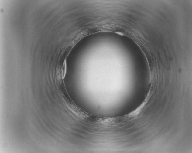 X0000059850186200511111821