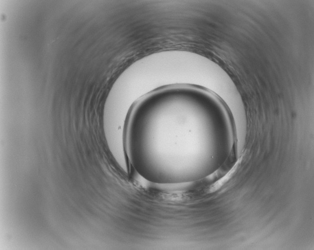 X0000059850187200511111821