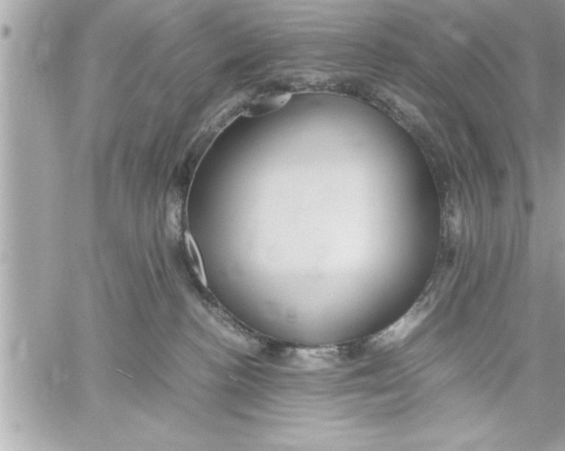 X0000059850188200511111821