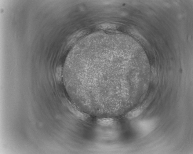 X0000059850189200511111821