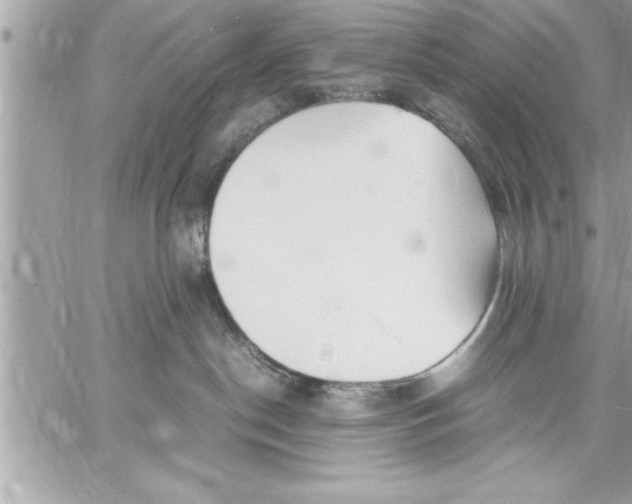 X0000059850190200511111821