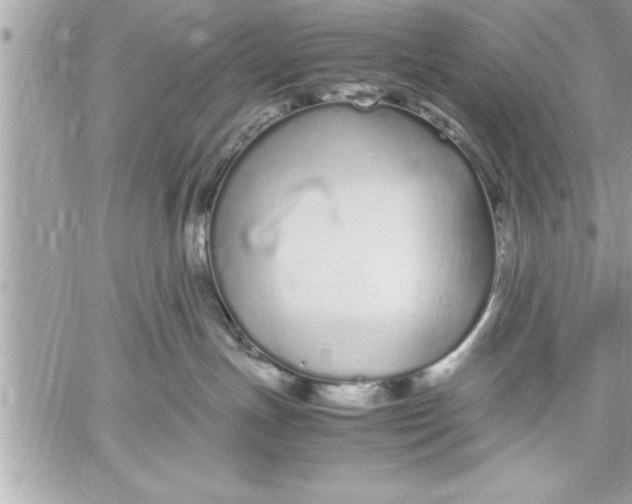 X0000059850191200511111821