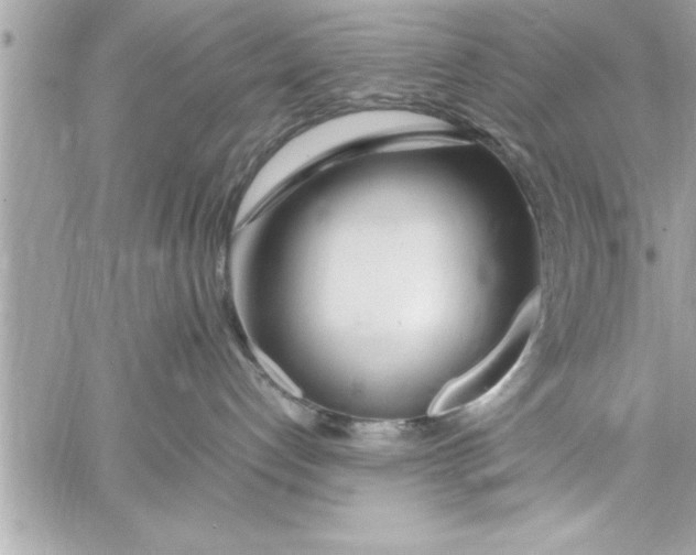 X0000059850192200511111821