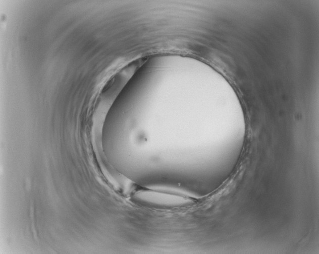 X0000059850193200511111820