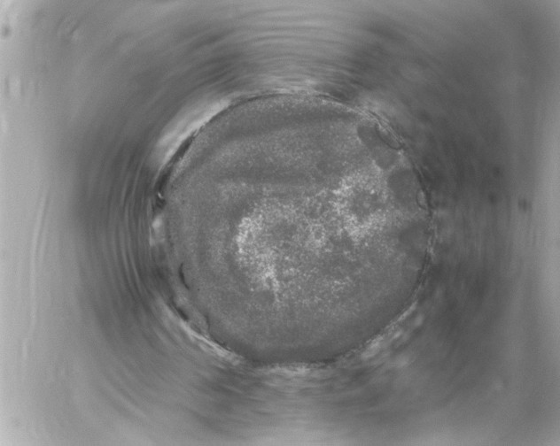 X0000059850194200511111820