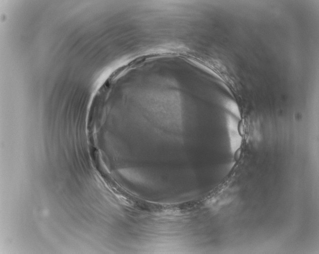 X0000059850196200511111820