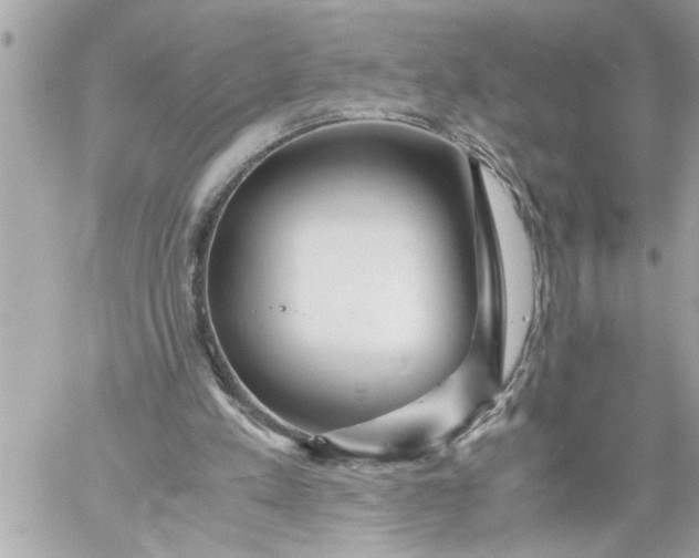 X0000059850197200511111820