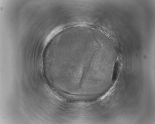 X0000059850198200511111820