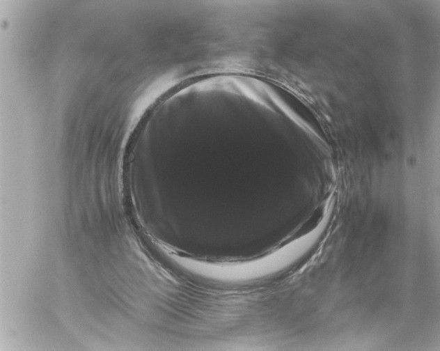 X0000059850200200511111820