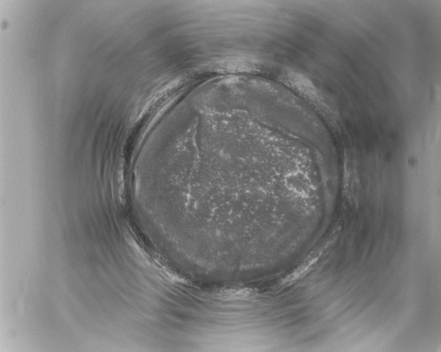 X0000059850202200511111820