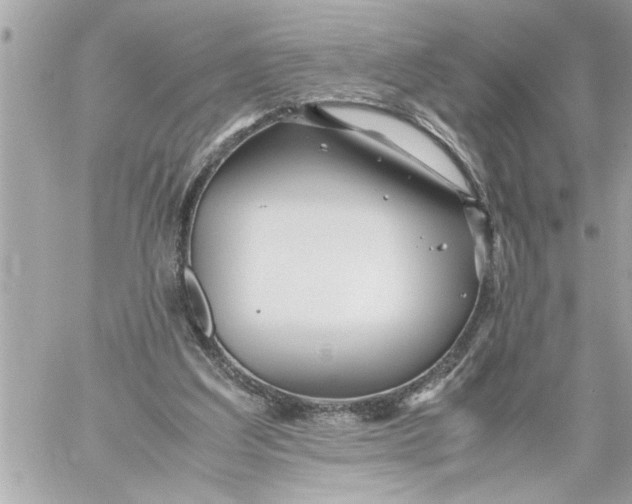 X0000059850203200511111820