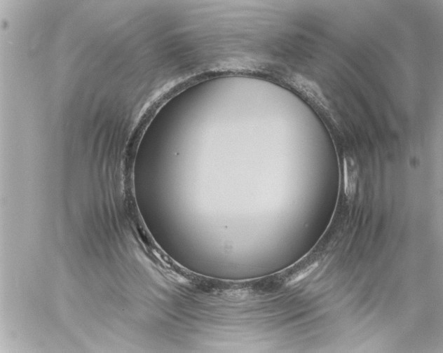 X0000059850204200511111820