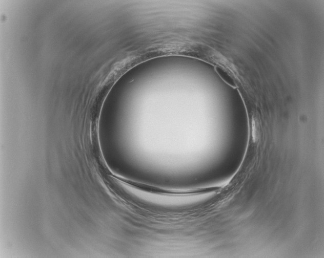 X0000059850205200511111820