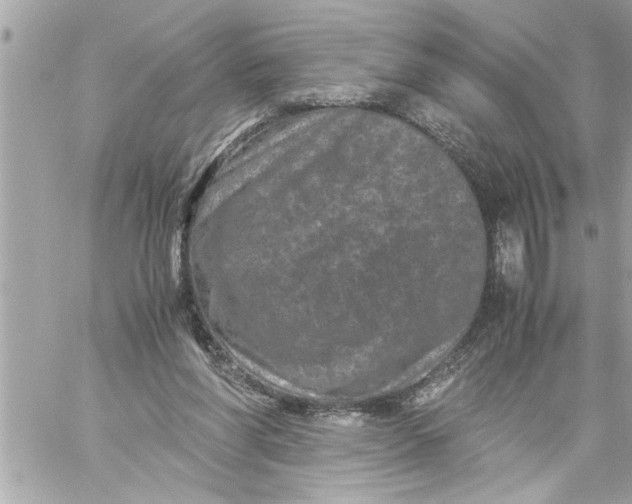 X0000059850206200511111820