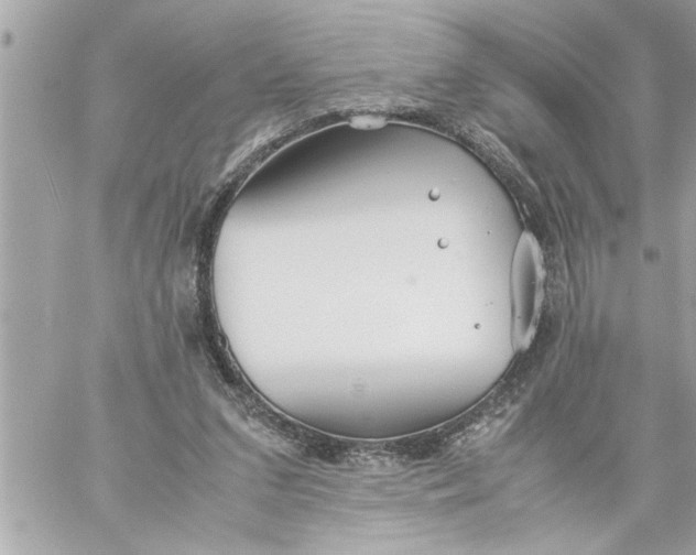 X0000059850207200511111820