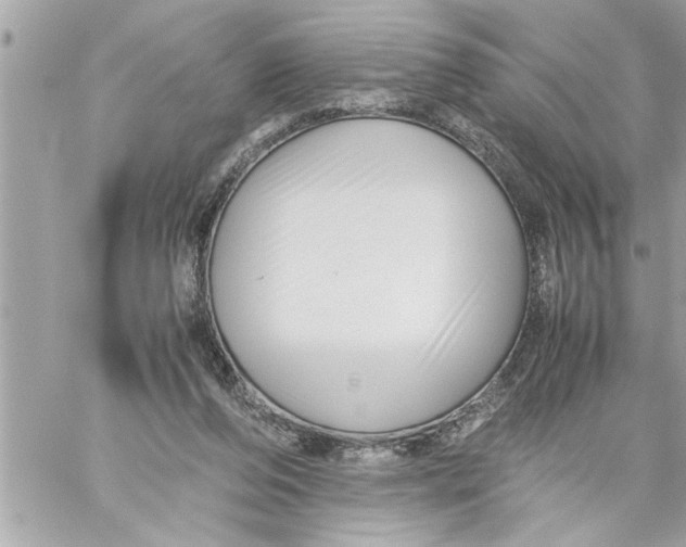 X0000059850208200511111820