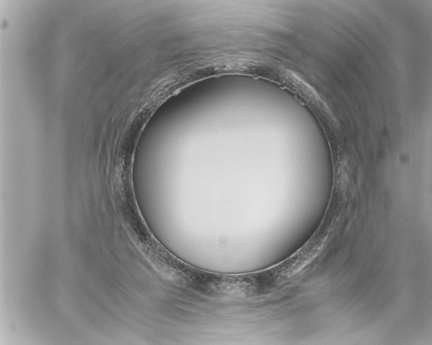 X0000059850209200511111820