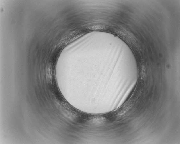 X0000059850210200511111820