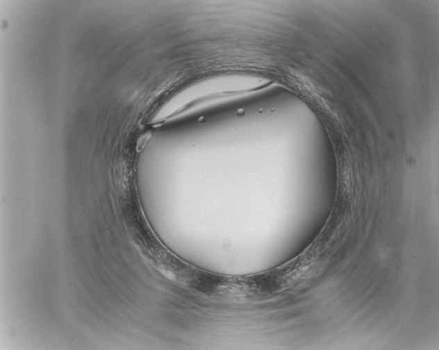 X0000059850211200511111820