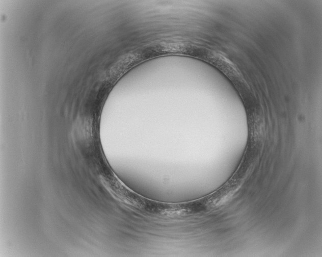 X0000059850213200511111820