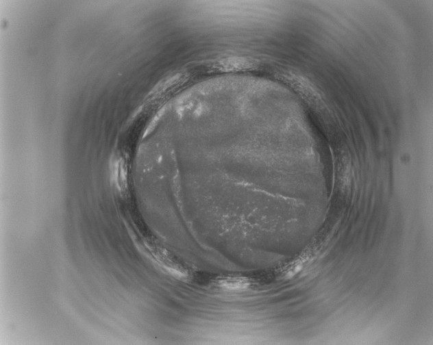 X0000059850214200511111820