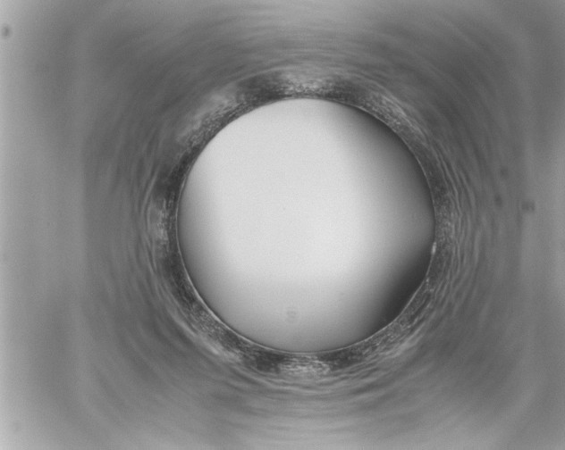 X0000059850215200511111819