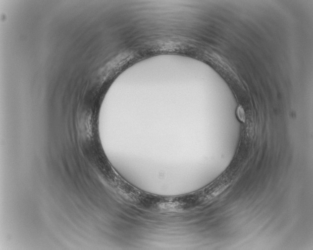 X0000059850216200511111819