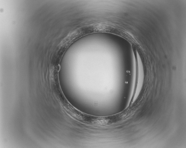 X0000059850217200511111819