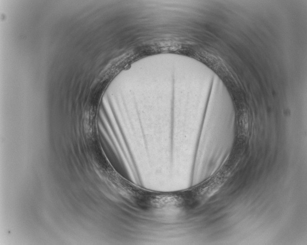 X0000059850218200511111819