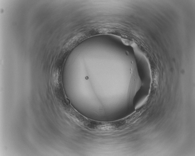 X0000059850219200511111819