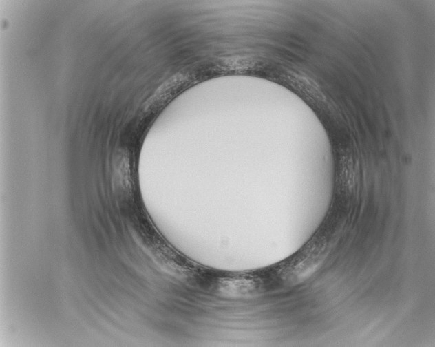 X0000059850220200511111819