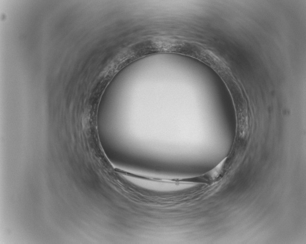 X0000059850221200511111819