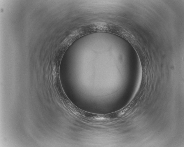 X0000059850223200511111819