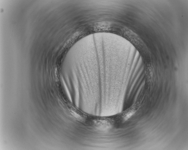 X0000059850224200511111819