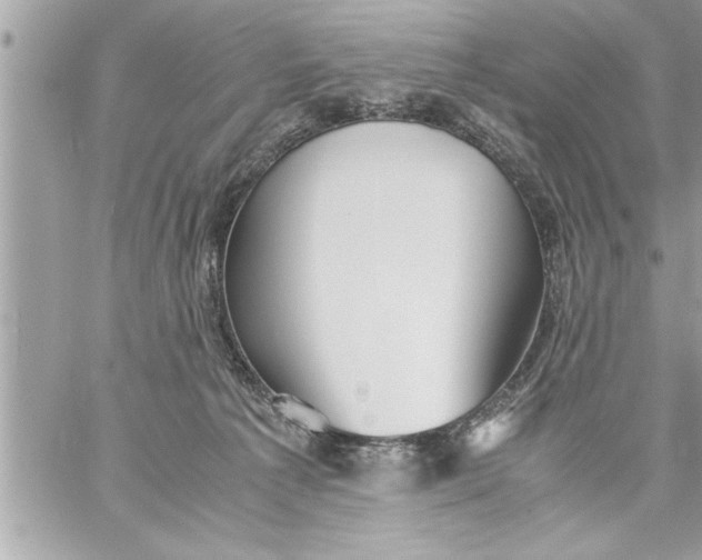 X0000059850225200511111819