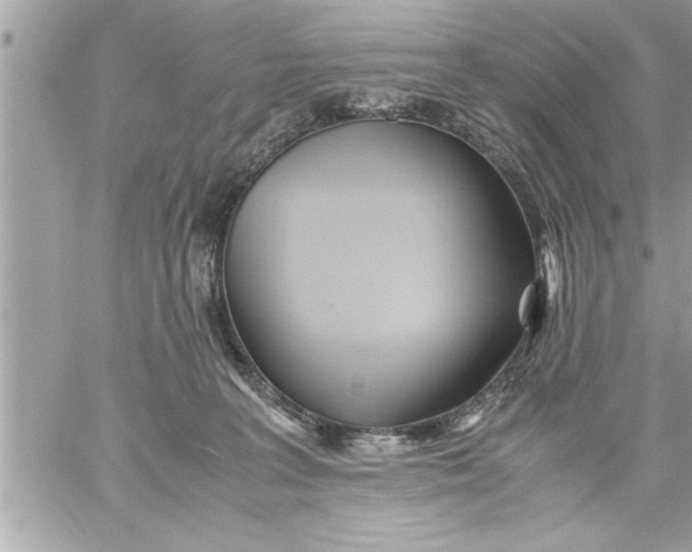 X0000059850227200511111819