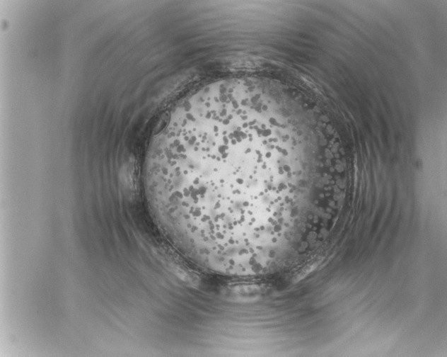 X0000059850228200511111819