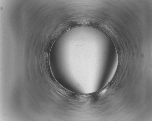 X0000059850229200511111819