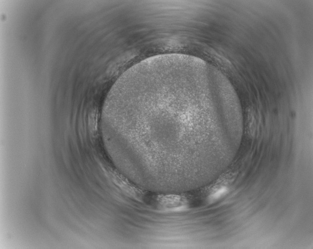 X0000059850230200511111819