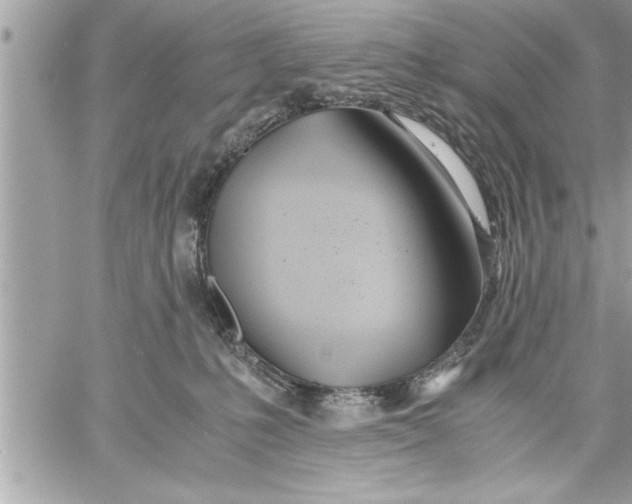 X0000059850231200511111819