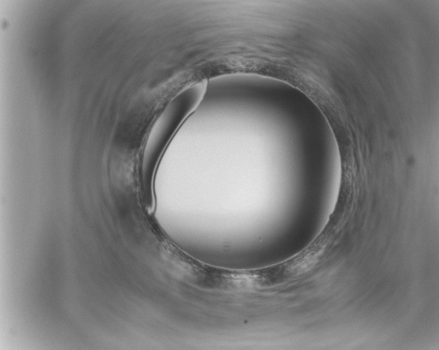 X0000059850233200511111819