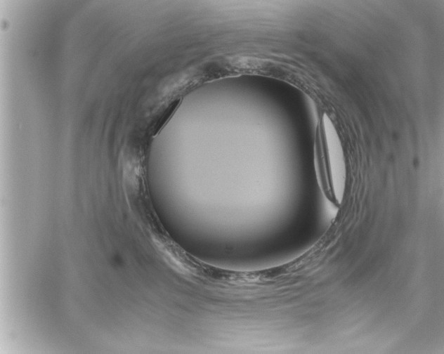 X0000059850235200511111819