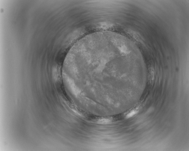 X0000059850236200511111819